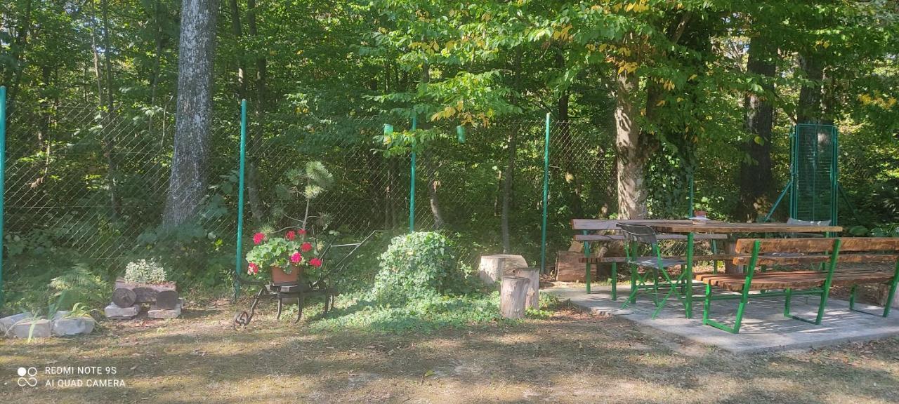 Holiday Home Nina Petrinja Esterno foto